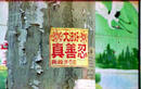 Hebei: Practitioners Hung Banners to Celebrate World Falun Dafa Day May 13, 2002