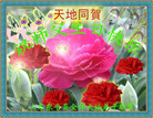 Published on 5/12/2009 ½󷨵صʮ編ִʦ𻪵һ