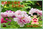 Published on 5/12/2009 ½󷨵صʮ編ִʦ𻪵һ