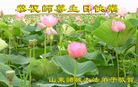 Published on 5/12/2009 ½󷨵ӹطִ󷨺鴫ʮ꣨ģ