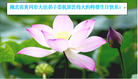 Published on 5/12/2009 ½󷨵ӹش󷨺鴫ʮ