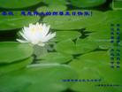 Published on 5/12/2009 ½󷨵ӹش󷨺鴫ʮ