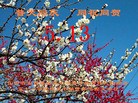 Published on 5/12/2009 ½󷨵ӹش󷨺鴫ʮ
