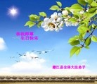 Published on 5/13/2010 ֹ,½󷨵Ӻʦ𻪵編ִգ壬180أ - ִ - minghui.org