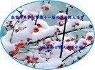 Published on 5/13/2010 ֹ,󷨵ӹʦ𻪵߷ִգ210أ - ִ - minghui.org