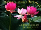 Published on 5/13/2010 ֹ,󷨵ӹʦ𻪵߷ִգ210أ - ִ - minghui.org