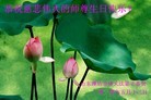Published on 5/13/2010 ֹ,󷨵ӹʦ𻪵߷ִգ210أ - ִ - minghui.org