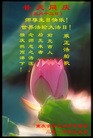 Published on 5/13/2010 法轮功,大陆西南大法弟子庆祝5.13世界法轮大法日（逾120地） - 法轮大法明慧网 - minghui.org