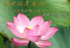 Published on 5/13/2010 ֹ,󷨵ӹʦ𻪵߷ִգ210أ - ִ - minghui.org