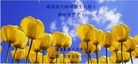 Published on 5/14/2010 ֹ,½󷨵Ӻʦ𻪵編ִգţ170أ - ִ - minghui.org