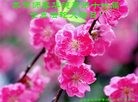 Published on 5/14/2010 ֹ,½󷨵Ӻʦ𻪵編ִգʮߣ210أ - ִ - minghui.org
