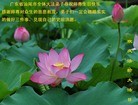 Published on 5/14/2010 ֹ,½󷨵Ӻʦ𻪵編ִգʮ160أ - ִ - minghui.org
