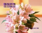 Published on 5/14/2010 ֹ,½󷨵Ӻʦ𻪵編ִգţ170أ - ִ - minghui.org