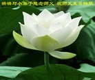 Published on 5/14/2010 ֹ,½󷨵Ӻʦ𻪵編ִգţ170أ - ִ - minghui.org