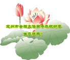 Published on 5/14/2010 ֹ,½󷨵Ӻʦ𻪵編ִգʮģ280أ - ִ - minghui.org