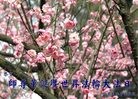 Published on 5/14/2010 ֹ,½󷨵Ӻʦ𻪵編ִգʮģ280أ - ִ - minghui.org