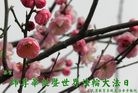 Published on 5/14/2010 ֹ,½󷨵Ӻʦ𻪵編ִգʮģ280أ - ִ - minghui.org