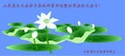 Published on 5/14/2010 ֹ,½󷨵Ӻʦ𻪵編ִգʮģ280أ - ִ - minghui.org