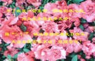 Published on 5/14/2010 ֹ,½󷨵Ӻʦ𻪵編ִգʮ260أ - ִ - minghui.org
