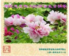 Published on 5/14/2010 ֹ,½󷨵Ӻʦ𻪵編ִգʮߣ210أ - ִ - minghui.org