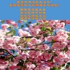Published on 5/14/2010 ֹ,½󷨵Ӻʦ𻪵編ִգʮ260أ - ִ - minghui.org
