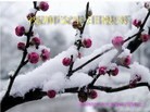 Published on 5/14/2010 ֹ,½󷨵Ӻʦ𻪵編ִգʮ270أ - ִ - minghui.org