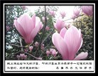 Published on 5/14/2010 ֹ,½󷨵Ӻʦ𻪵編ִգʮһ260أ - ִ - minghui.org
