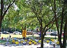 Published on 5/17/2001 Practitioners spread Dafa to the public on the 2nd World Falun Dafa Day.