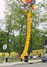 Published on 5/13/2001 Practitioners spread Dafa on 2nd World Falun Dafa Day.